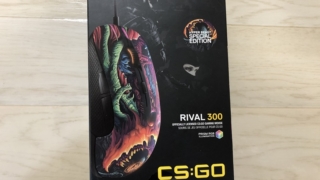 Rival 300